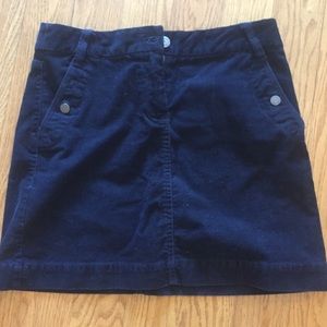 J.Crew Mini Blue Skirt